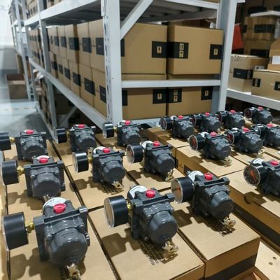 피셔 DVC6200 디지털 밸브 포지셔너 HART 통신