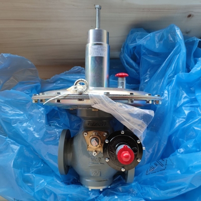 Stock Supplier Pressure Equipment Tartarini V/61 Automatic Spring Loaded Relief Valves  for Low Pressure Applications