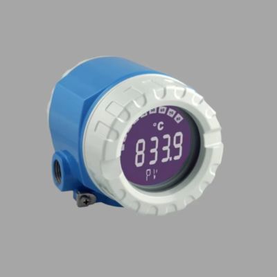 엔드레스+하우저 프로라인 프로와일 D 200 소용돌이 흐름계와 ITEMP TMT188 온도 송신기와 함께 압력/흐름 조절 장치