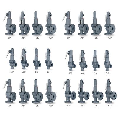 VYC Industrial Valve AIT 485 486 494 495 496 596 696 Pressure Relief Valve Full-opening Safety Valve with Compression Spring