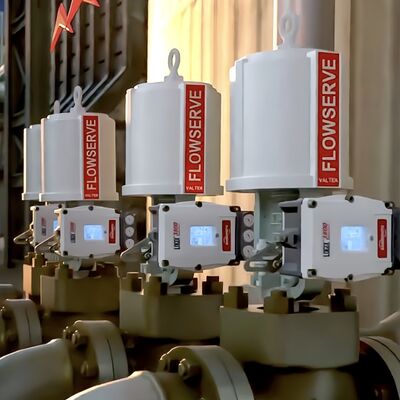 FLOWSERVE MARK ONE Linear Globe Angle Control Valve Spring Cylinder Valve Pneumatic Actuator
