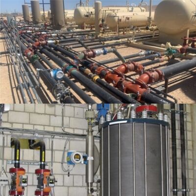 엔드레스 하우저 프롤린 프로와일 F 200 소용돌이 흐름 미터 증기 가스 및 액체 흐름 측정 E + H 흐름 미터