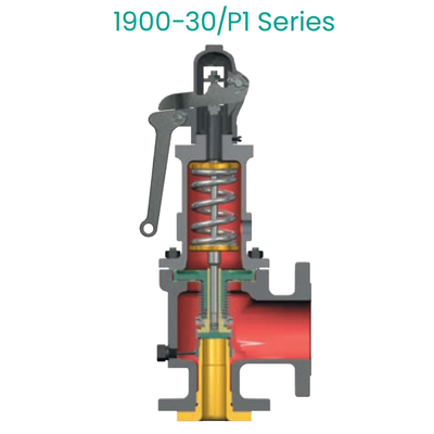 Carbon Stainless Steel Safety Valve Consolidated Type 1900/P High Pressure Steam Gas Liquid Safety Relief Valve