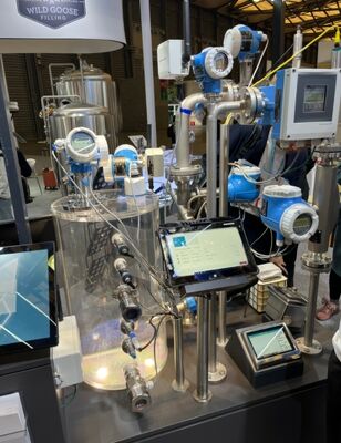 엔더스 하우저를 위한 프로소닉 Ｍ FMU40 준위 측정 차압발진기