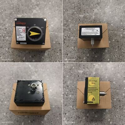 중국 밸브 Flowserve 신규 재고 단동 및 복동 Flowserve 공압 포지셔너 PMV P5/EP5 F5-NAM 및 67CFR 레귤레이터