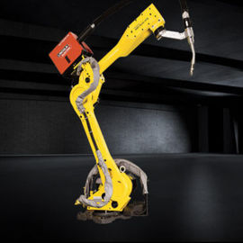 산업 사용을 위한 중국 공장 가격 6axis 로봇 아크 동료 i0 용접 로봇