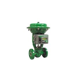 피셔 GX 3620J 3620JP 3610J 3610JP 벨브 Positioner를 가진 공기식 조절 밸브 및 67CFR 67DFR는 규칙을 거릅니다