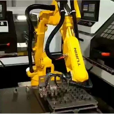 중국 로봇 ATOM-10KG-1378mm 프로그램 가능한 로보틱 아암 6 주축 팔레타이징 로봇