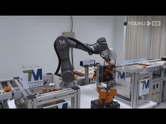 Collaborative Robot Combine With PGE-5 Gripper Robotic Arm As Robot Gripper