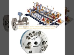 Rosemount 8800 와류 유량계 및 644 온도 트랜스미터 센서가 장착된 밸브 전환 장치